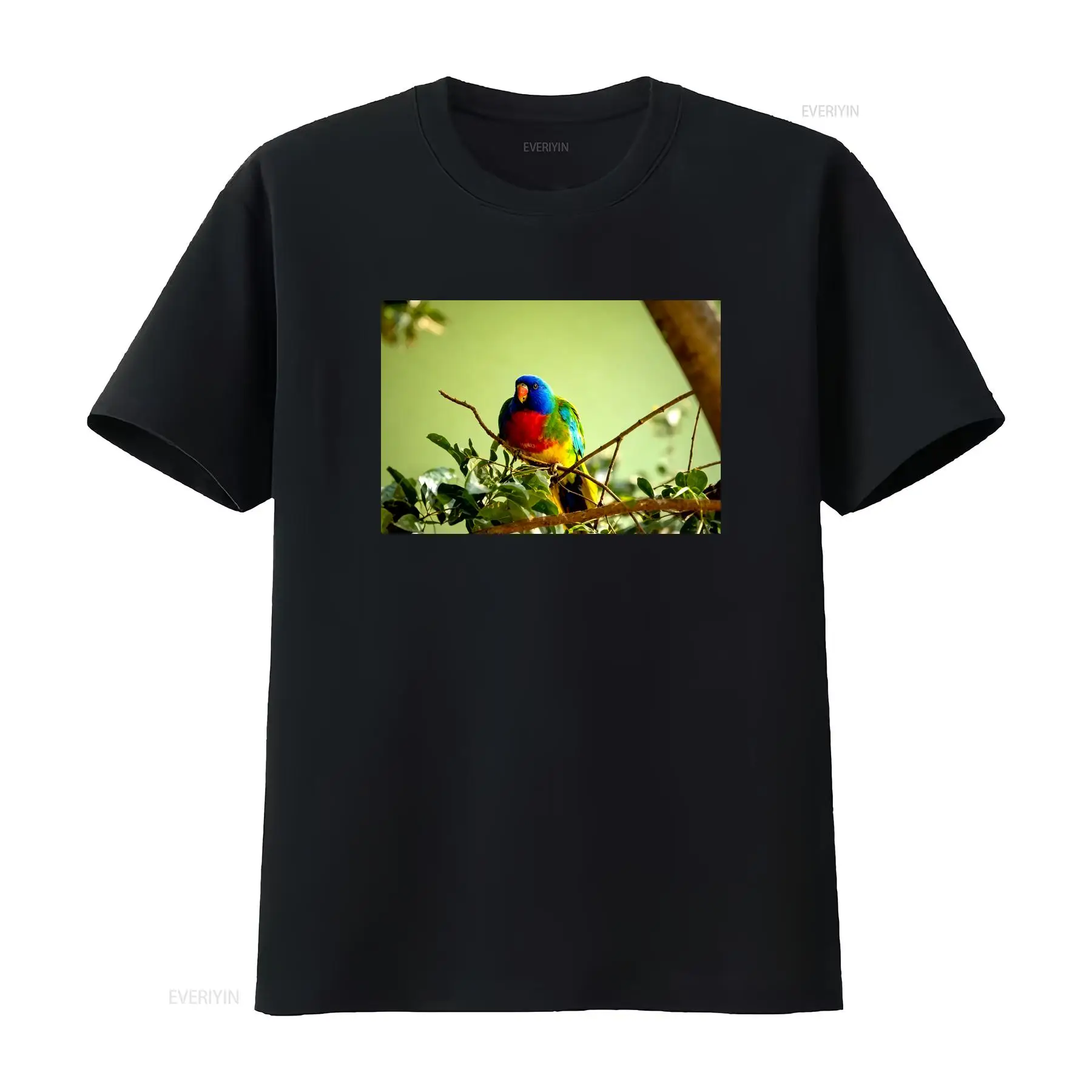 Scarlet Chested Parrot Made in - Vintage Fashion Australia 评论和价格