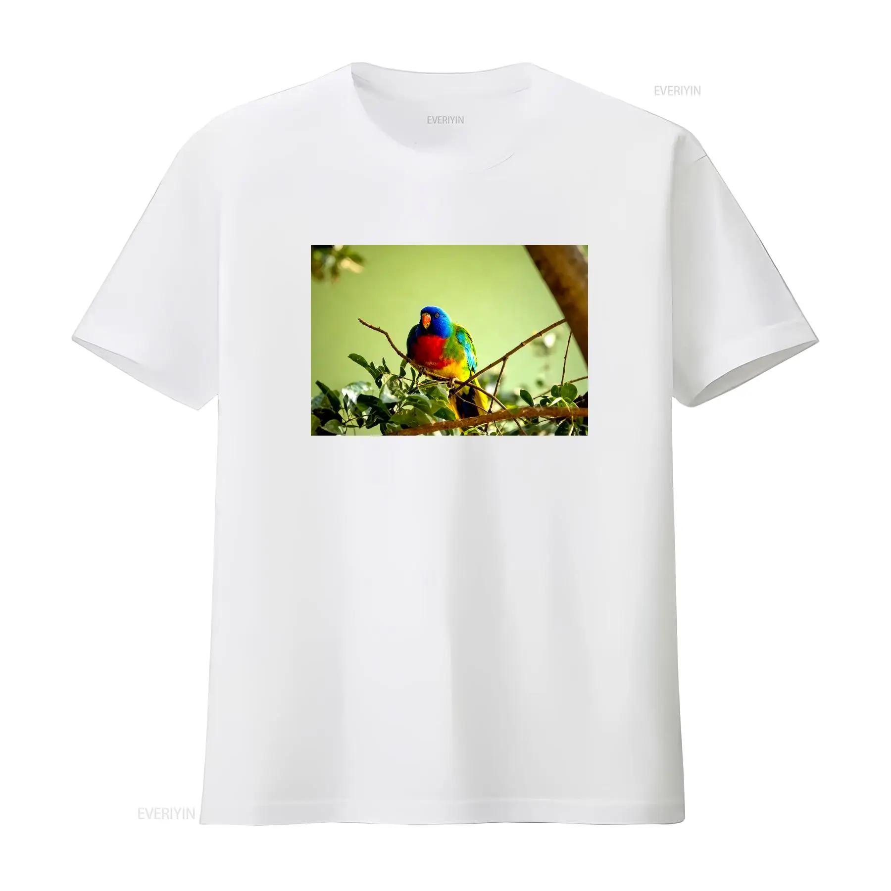 Scarlet Chested Parrot Made in - Vintage Fashion Australia 评论和价格