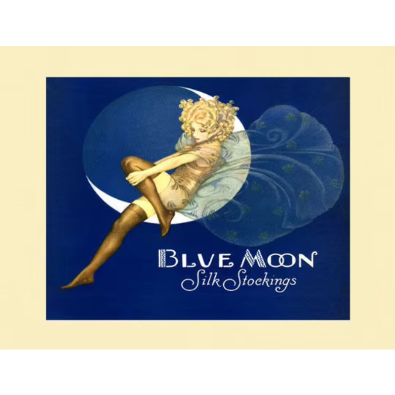 BLUE MOON Fairy Stockings Fash - Vintage Fashion Prints For Wall 评论和价格
